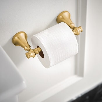 moen colinet toilet paper holder installed